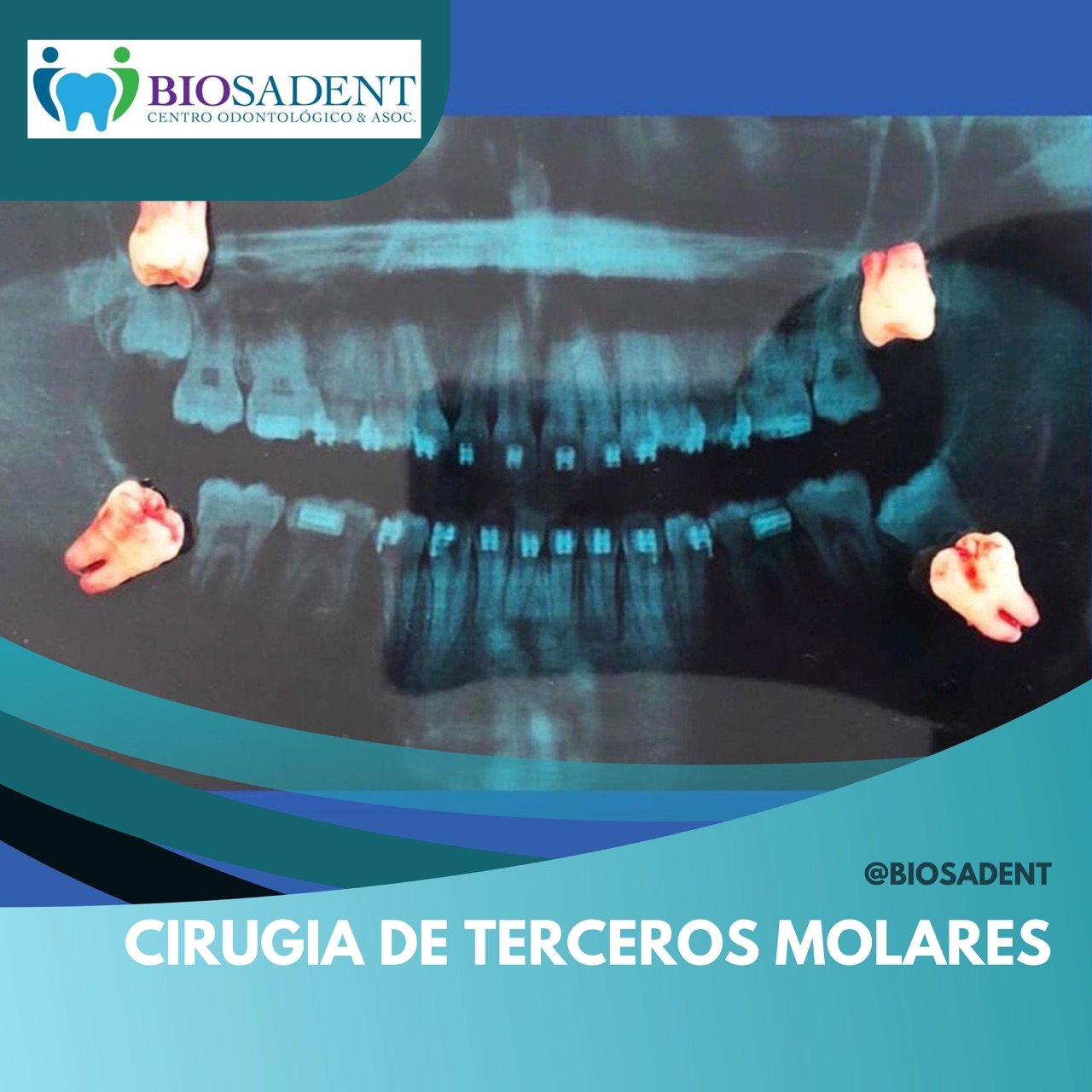 ad4fbd71-73ce-4292-8f7c-2c3565f1a2f0